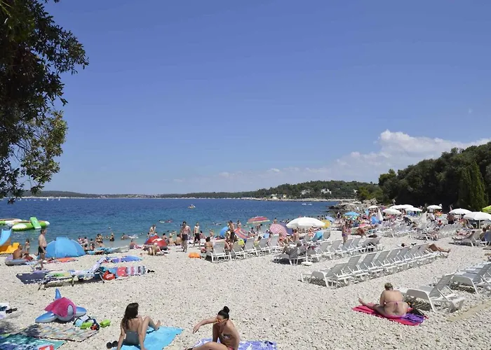 Apartment In - Istrien 10988 *